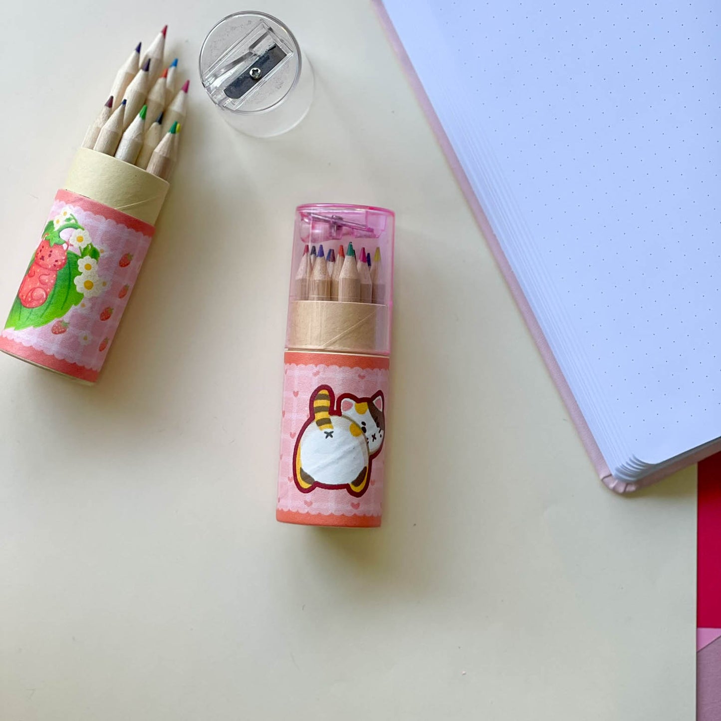 Color Pencil Case