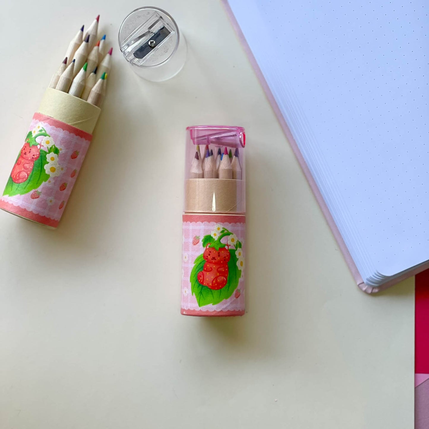 Color Pencil Case